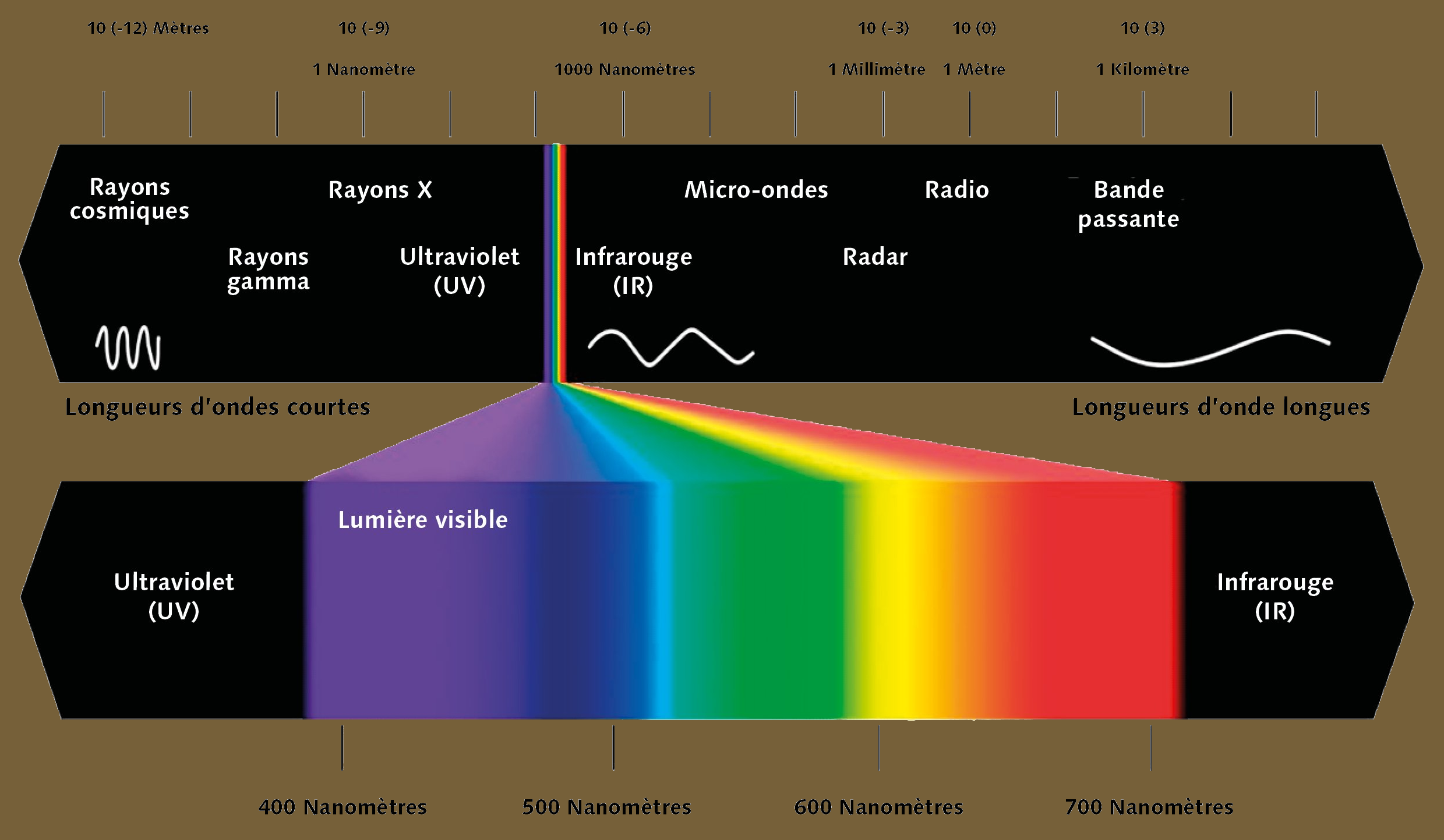 Longueurs d'ondes visibes